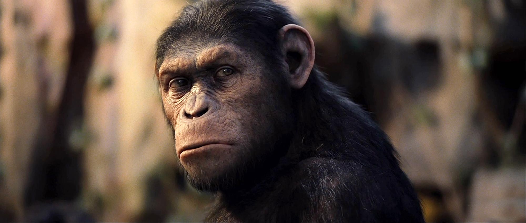 Dawn Of The Planet Of The Apes Unrated